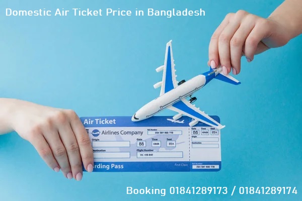 Domestic Air Ticket